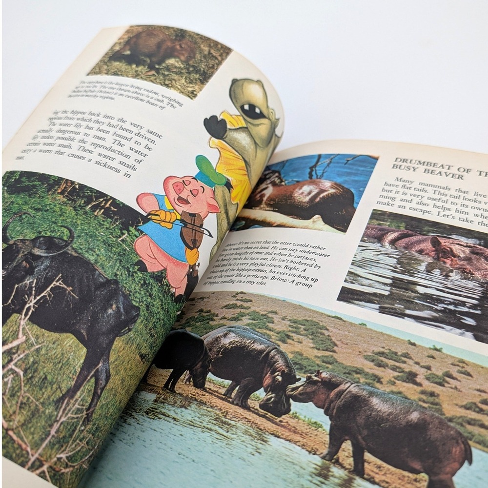 Disney Wonderful World of Knowledge Vol 1 Vintage 1971 Nature Animals Book - Picture 8 of 11